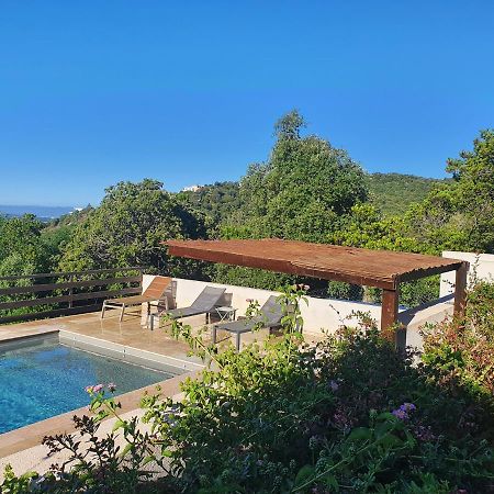 Tres Belle Residence Vue Mer Et Piscine Chauffee - Baccalocation 维琪奥港 外观 照片