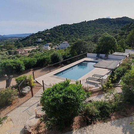 Tres Belle Residence Vue Mer Et Piscine Chauffee - Baccalocation 维琪奥港 外观 照片